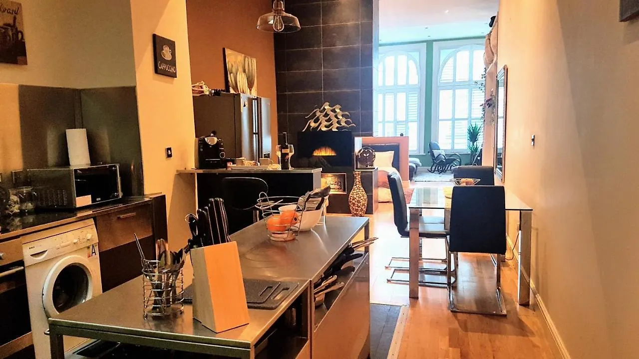 Castell Haven Studio Apartment Cardiff