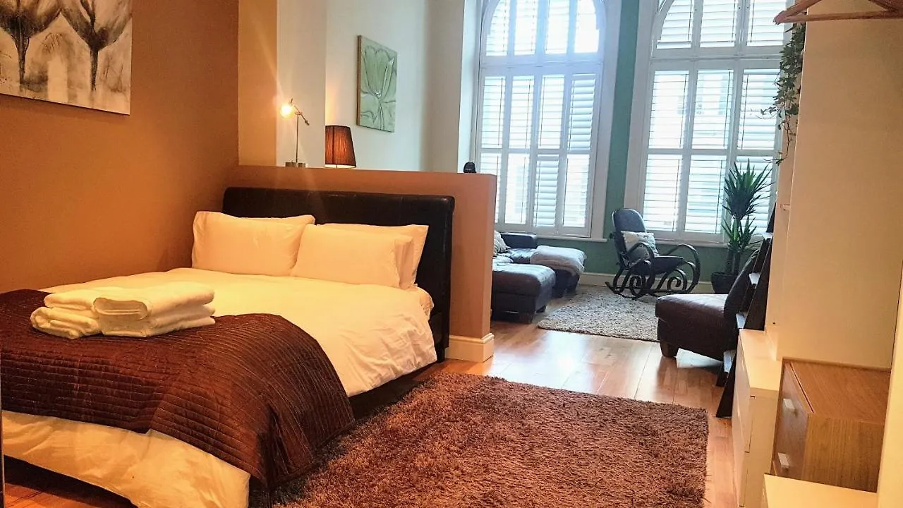 Castell Haven Studio Apartment Cardiff